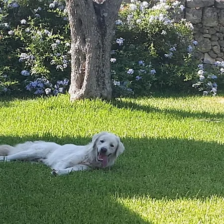 La Dimora Dei Gelsi *